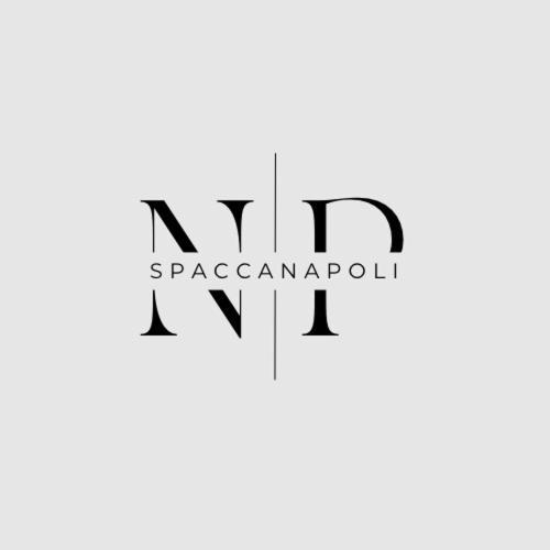 Np Spaccanapoli エクステリア 写真